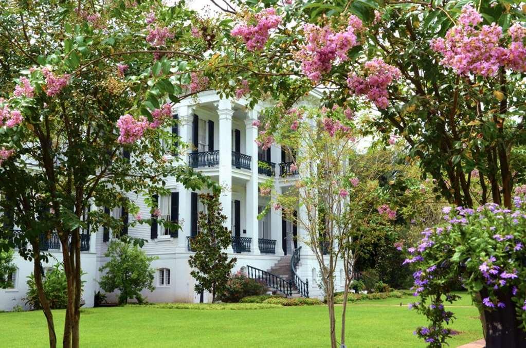 Nottoway Plantation And Resort White Castle Kültér fotó